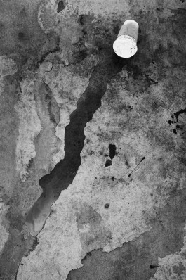 Bruno Trematore - Photography