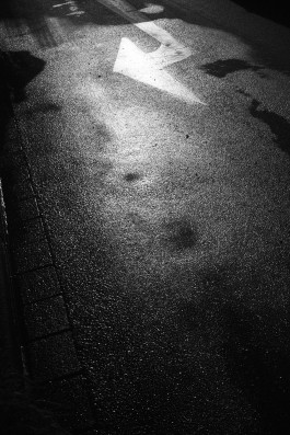 Bruno Trematore - Photography