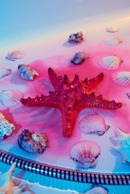 Bruno Trematore - Photography