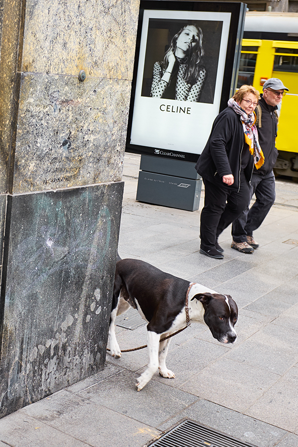 Bruno Trematore - Photography