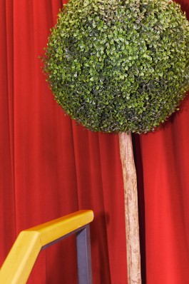 Bruno Trematore - Photography