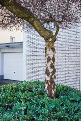 Bruno Trematore - Photography