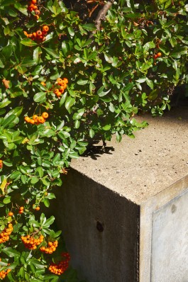 Bruno Trematore - Photography