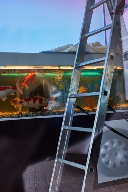 Bruno Trematore - Photography