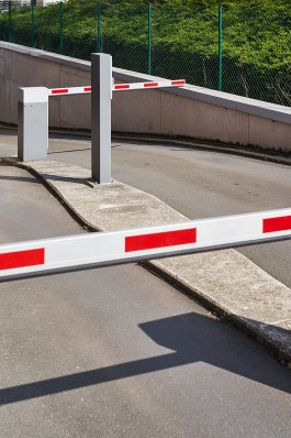 Bruno Trematore - Photography