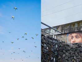 Bruno Trematore - Photography