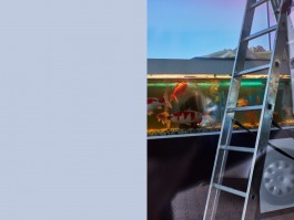 Bruno Trematore - Photography