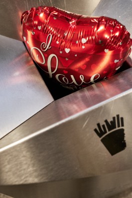 Bruno Trematore - Photography